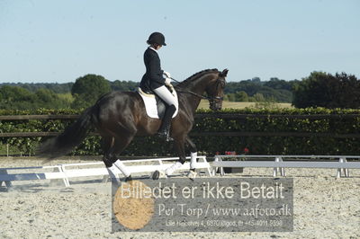 Blue Hors Dressur championat 2018
4 års klassen
Nøgleord: grevens hot chocolate;silje bakken