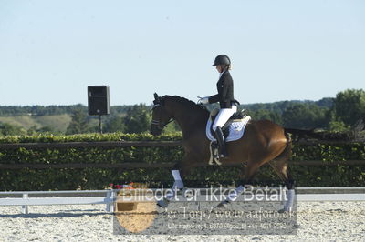 Blue Hors Dressur championat 2018
4 års klassen
Nøgleord: picota;ida hoffman-bang