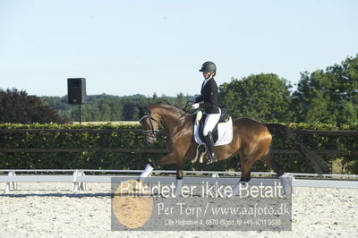 Blue Hors Dressur championat 2018
4 års klassen
Nøgleord: picota;ida hoffman-bang