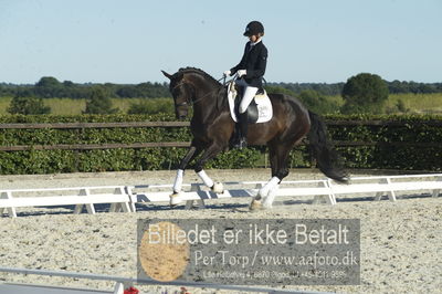 Blue Hors Dressur championat 2018
4 års klassen
Nøgleord: grevens hot chocolate;silje bakken