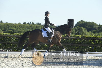 Blue Hors Dressur championat 2018
4 års klassen
Nøgleord: malene gram pedersen