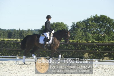 Blue Hors Dressur championat 2018
4 års klassen
Nøgleord: malene gram pedersen