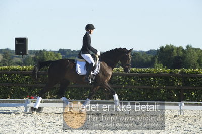 Blue Hors Dressur championat 2018
4 års klassen
