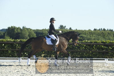 Blue Hors Dressur championat 2018
4 års klassen
Nøgleord: lyngbakgaard&#039;s zee me fight