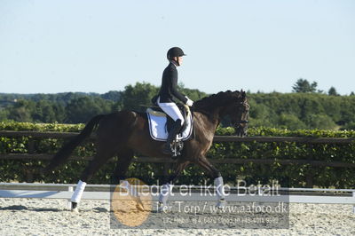 Blue Hors Dressur championat 2018
4 års klassen
Nøgleord: lyngbakgaard&#039;s zee me fight;malene gram pedersen