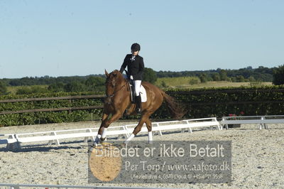 Blue Hors Dressur championat 2018
4 års klassen
Nøgleord: eva plagemann;brandtbjergs olivia