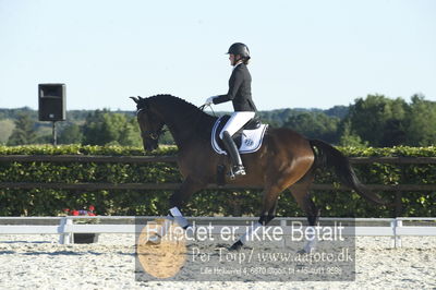 Blue Hors Dressur championat 2018
4 års klassen
