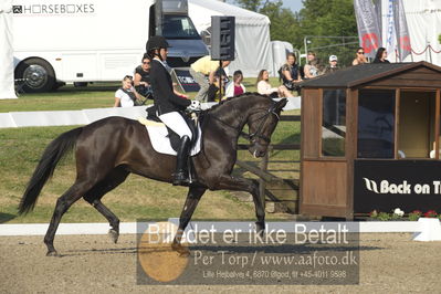 Dm - Uwm iagttagelse - Paradressur
uwm 5års iagttagelses klasse
Nøgleord: victoria e vallentin;straight horse ascenzione