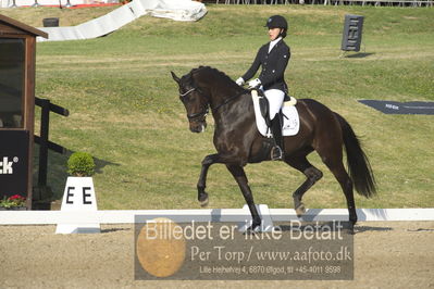 Dm - Uwm iagttagelse - Paradressur
uwm 5års iagttagelses klasse
Nøgleord: victoria e vallentin;straight horse ascenzione