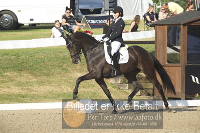 Dm - Uwm iagttagelse - Paradressur
uwm 5års iagttagelses klasse
Nøgleord: victoria e vallentin;straight horse ascenzione