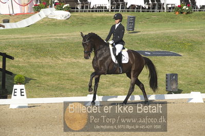 Dm - Uwm iagttagelse - Paradressur
uwm 5års iagttagelses klasse
Nøgleord: victoria e vallentin;straight horse ascenzione