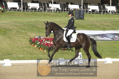 Dm - Uwm iagttagelse - Paradressur
uwm 5års iagttagelses klasse
Nøgleord: victoria e vallentin;straight horse ascenzione