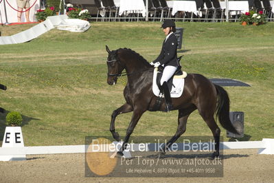 Dm - Uwm iagttagelse - Paradressur
uwm 5års iagttagelses klasse
Nøgleord: victoria e vallentin;straight horse ascenzione