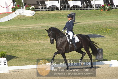 Dm - Uwm iagttagelse - Paradressur
uwm 5års iagttagelses klasse
Nøgleord: anne troensengård;delizia