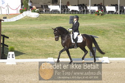 Dm - Uwm iagttagelse - Paradressur
uwm 5års iagttagelses klasse
Nøgleord: maria n kristensen;houmarkens filia