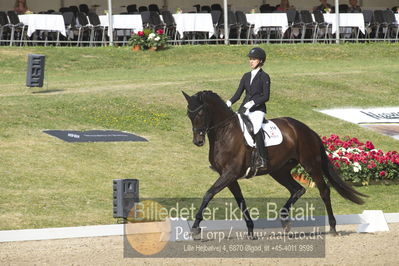 Dm - Uwm iagttagelse - Paradressur
uwm 5års iagttagelses klasse
Nøgleord: kathrine springborg;springborgs guinevere