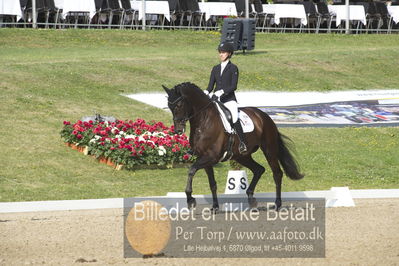 Dm - Uwm iagttagelse - Paradressur
uwm 5års iagttagelses klasse
Nøgleord: kathrine springborg;springborgs guinevere