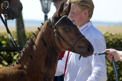 følchampionat 2018
Billeder frafølchampionat 2018
Nøgleord: overgaard&#039;s catarina;k18-006