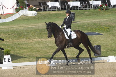 Dm - Uwm iagttagelse - Paradressur
uwm 5års iagttagelses klasse
Nøgleord: kathrine springborg;springborgs guinevere