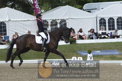 Dm - Uwm iagttagelse - Paradressur
uwm 5års iagttagelses klasse
Nøgleord: kathrine springborg;springborgs guinevere