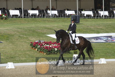 Dm - Uwm iagttagelse - Paradressur
uwm 5års iagttagelses klasse
Nøgleord: kathrine springborg;springborgs guinevere