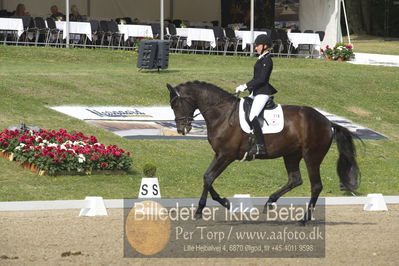 Dm - Uwm iagttagelse - Paradressur
uwm 5års iagttagelses klasse
Nøgleord: kathrine springborg;springborgs guinevere