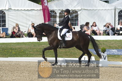 Dm - Uwm iagttagelse - Paradressur
uwm 5års iagttagelses klasse
Nøgleord: kathrine springborg;springborgs guinevere