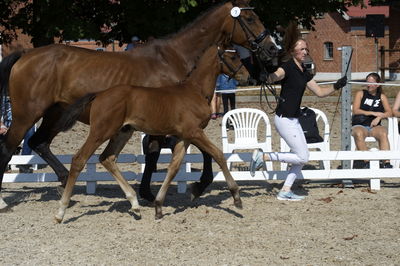 følchampionat 2018
Billeder frafølchampionat 2018
Nøgleord: fallulah id;k18-007