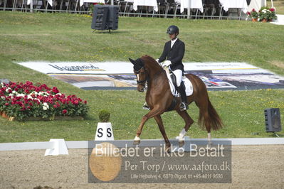 Dm - Uwm iagttagelse - Paradressur
uwm 5års iagttagelses klasse
Nøgleord: kenneth  damgaard;straight horse sezuanna