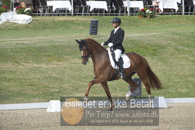 Dm - Uwm iagttagelse - Paradressur
uwm 5års iagttagelses klasse
Nøgleord: kenneth  damgaard;straight horse sezuanna