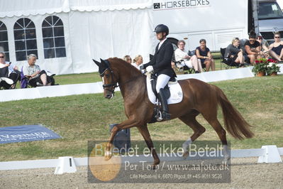 Dm - Uwm iagttagelse - Paradressur
uwm 5års iagttagelses klasse
Nøgleord: kenneth  damgaard;straight horse sezuanna