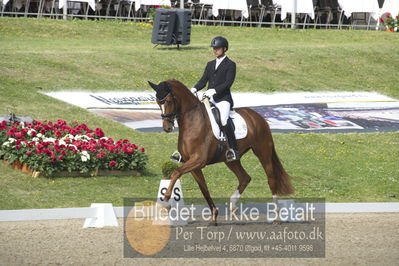 Dm - Uwm iagttagelse - Paradressur
uwm 5års iagttagelses klasse
Nøgleord: kenneth  damgaard;straight horse sezuanna