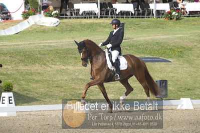 Dm - Uwm iagttagelse - Paradressur
uwm 5års iagttagelses klasse
Nøgleord: kenneth  damgaard;straight horse sezuanna