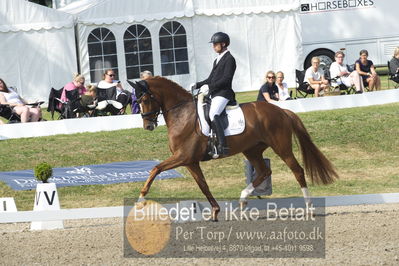 Dm - Uwm iagttagelse - Paradressur
uwm 5års iagttagelses klasse
Nøgleord: kenneth  damgaard;straight horse sezuanna