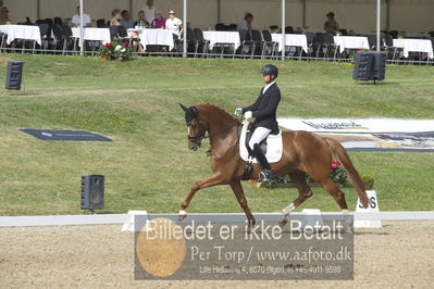 Dm - Uwm iagttagelse - Paradressur
uwm 5års iagttagelses klasse
Nøgleord: kenneth  damgaard;straight horse sezuanna