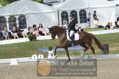 Dm - Uwm iagttagelse - Paradressur
uwm 5års iagttagelses klasse
Nøgleord: kenneth  damgaard;straight horse sezuanna