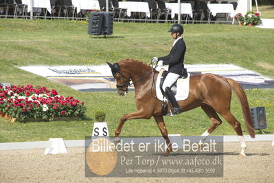 Dm - Uwm iagttagelse - Paradressur
uwm 5års iagttagelses klasse
Nøgleord: kenneth  damgaard;straight horse sezuanna