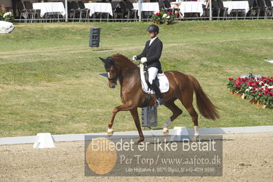 Dm - Uwm iagttagelse - Paradressur
uwm 5års iagttagelses klasse
Nøgleord: kenneth  damgaard;straight horse sezuanna