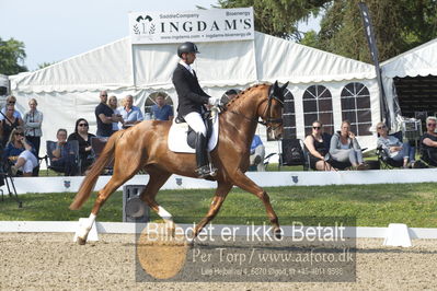 Dm - Uwm iagttagelse - Paradressur
uwm 5års iagttagelses klasse
Nøgleord: kenneth  damgaard;straight horse sezuanna