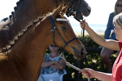 følchampionat 2018
Billeder frafølchampionat 2018
Nøgleord: amazing stars fs;k18-018