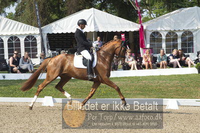 Dm - Uwm iagttagelse - Paradressur
uwm 5års iagttagelses klasse
Nøgleord: kenneth  damgaard;straight horse sezuanna