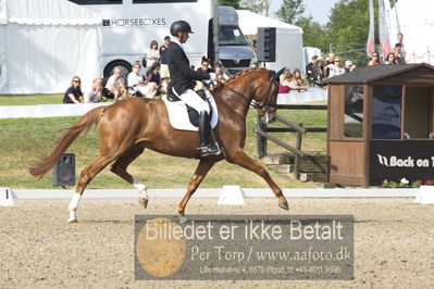 Dm - Uwm iagttagelse - Paradressur
uwm 5års iagttagelses klasse
Nøgleord: kenneth  damgaard;straight horse sezuanna