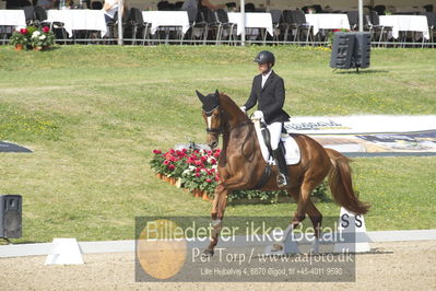 Dm - Uwm iagttagelse - Paradressur
uwm 5års iagttagelses klasse
Nøgleord: kenneth  damgaard;straight horse sezuanna