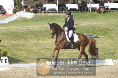 Dm - Uwm iagttagelse - Paradressur
uwm 5års iagttagelses klasse
Nøgleord: kenneth  damgaard;straight horse sezuanna