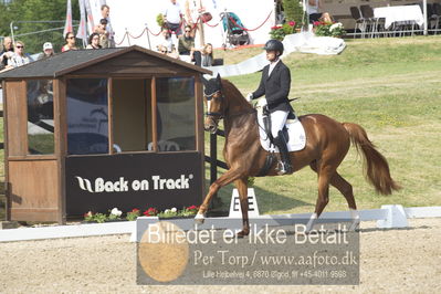 Dm - Uwm iagttagelse - Paradressur
uwm 5års iagttagelses klasse
Nøgleord: kenneth  damgaard;straight horse sezuanna