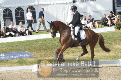 Dm - Uwm iagttagelse - Paradressur
uwm 5års iagttagelses klasse
Nøgleord: kenneth  damgaard;straight horse sezuanna