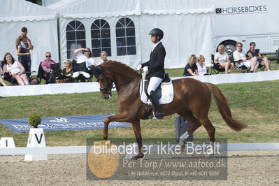 Dm - Uwm iagttagelse - Paradressur
uwm 5års iagttagelses klasse
Nøgleord: kenneth  damgaard;straight horse sezuanna