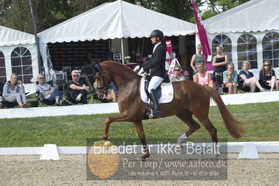 Dm - Uwm iagttagelse - Paradressur
uwm 5års iagttagelses klasse
Nøgleord: kenneth  damgaard;straight horse sezuanna