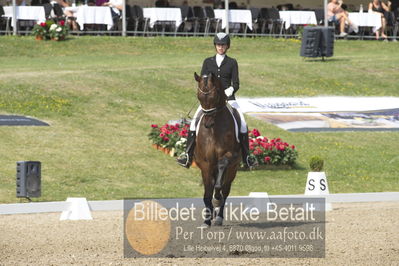 Dm - Uwm iagttagelse - Paradressur
uwm 5års iagttagelses klasse
Nøgleord: simone pearce;lindballe's just perfect