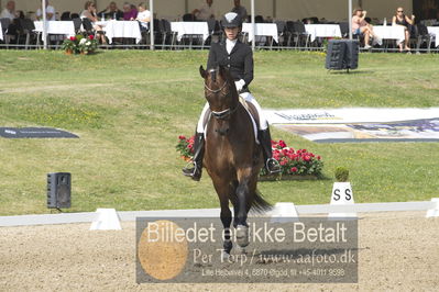 Dm - Uwm iagttagelse - Paradressur
uwm 5års iagttagelses klasse
Nøgleord: simone pearce;lindballe's just perfect